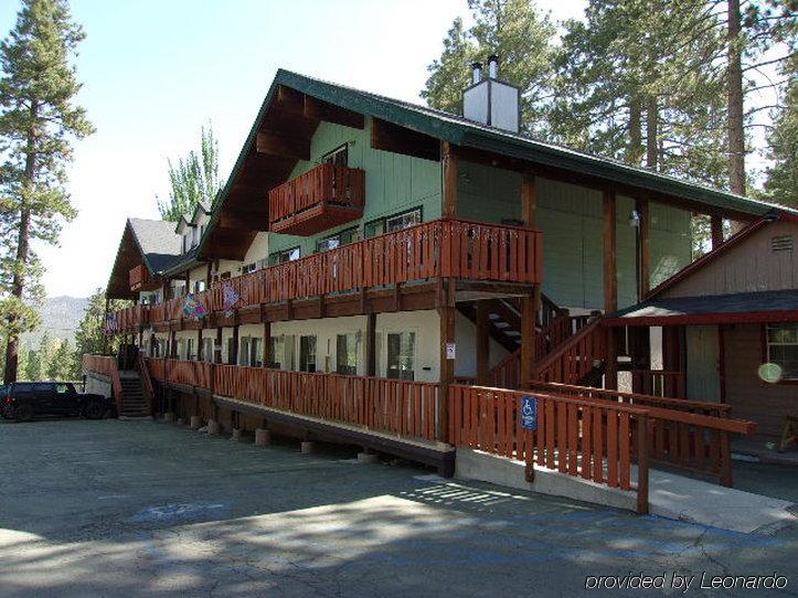 ביג בר לייק Honey Bear Lodge & Cabins מראה חיצוני תמונה